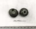 Click for 1 image(s) for this accession. FRUIT